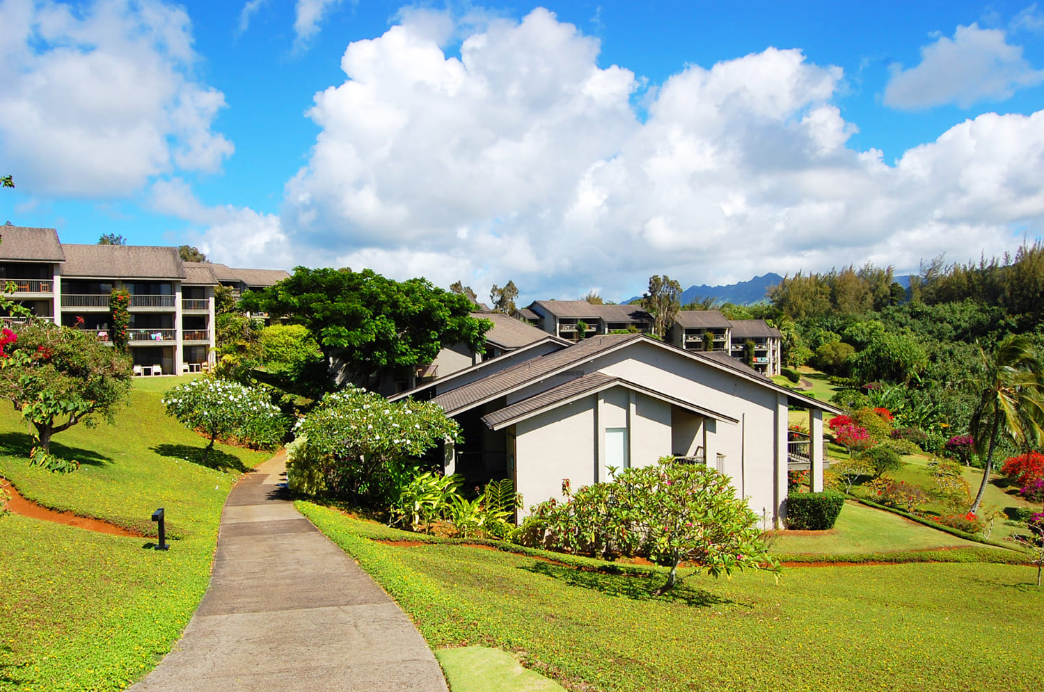 Condo vs Vacation Home in Hawaii: Which Is Better for Your Trip?