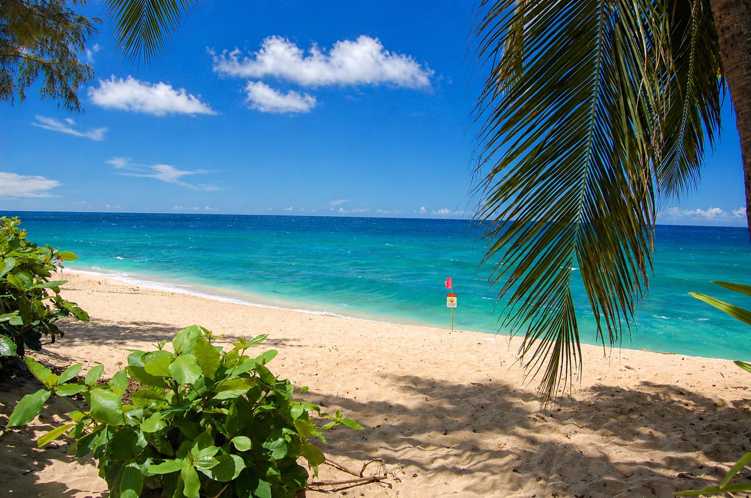 Ehukai Beach Park