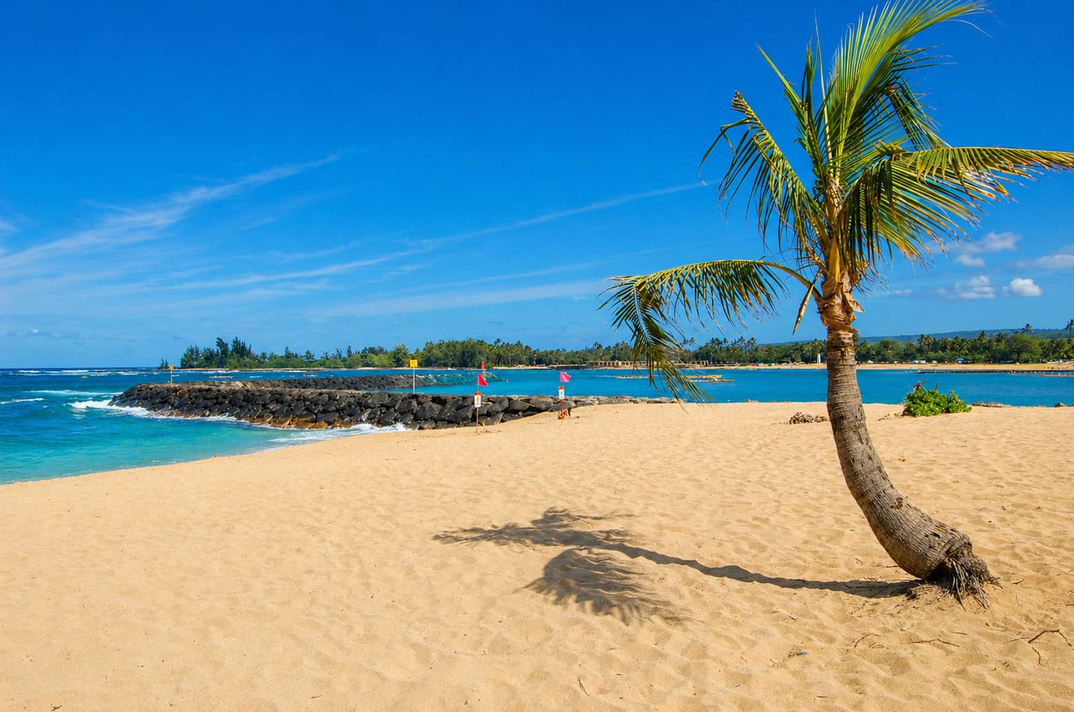 Hale'iwa Ali'i Beach Park