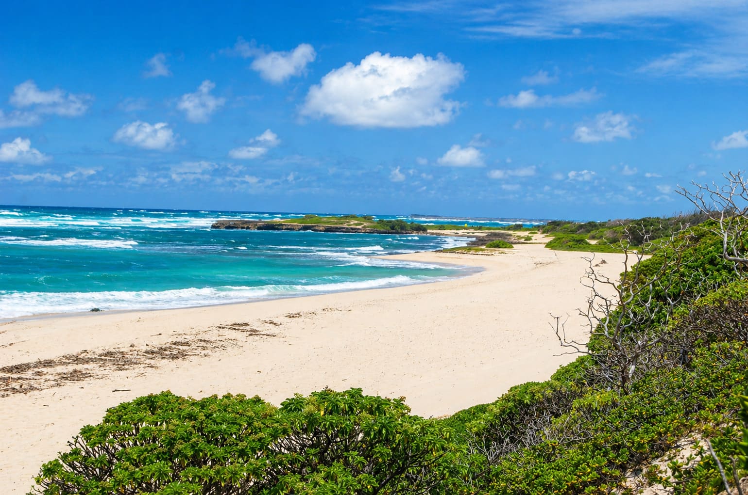 Kahuku Beach
