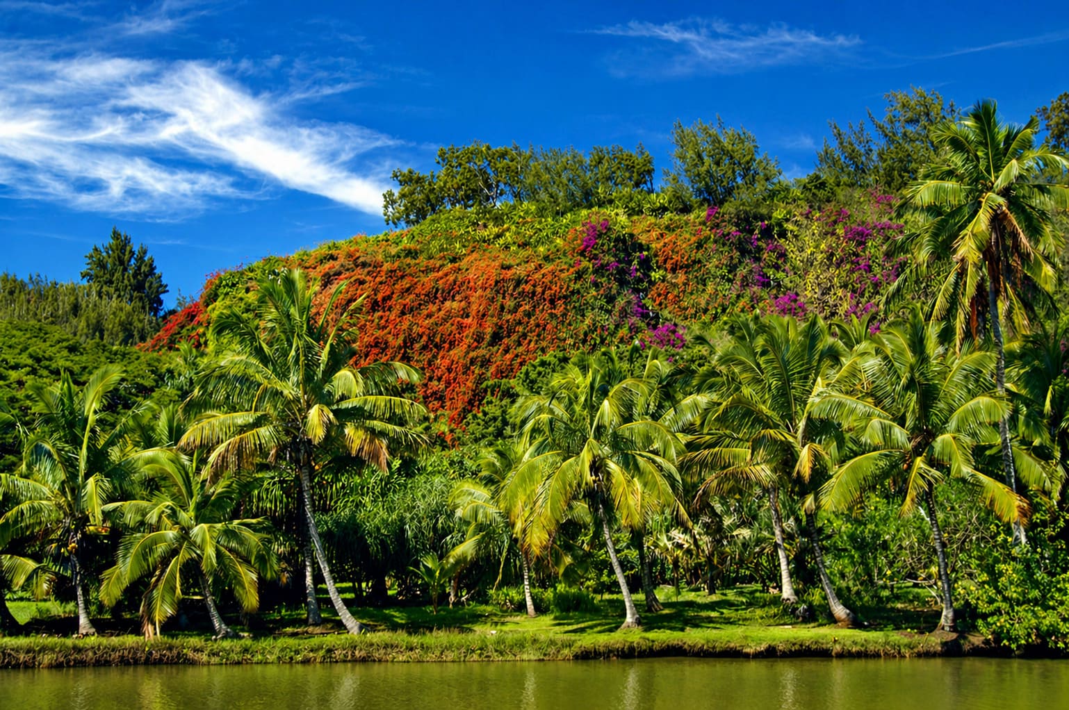 Kauai Botanical Gardens