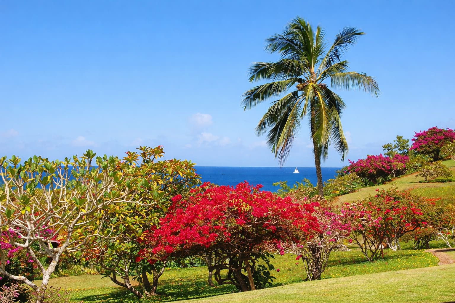 Kauai Vacation Ideas for Nature Lovers and Slower Island Travel