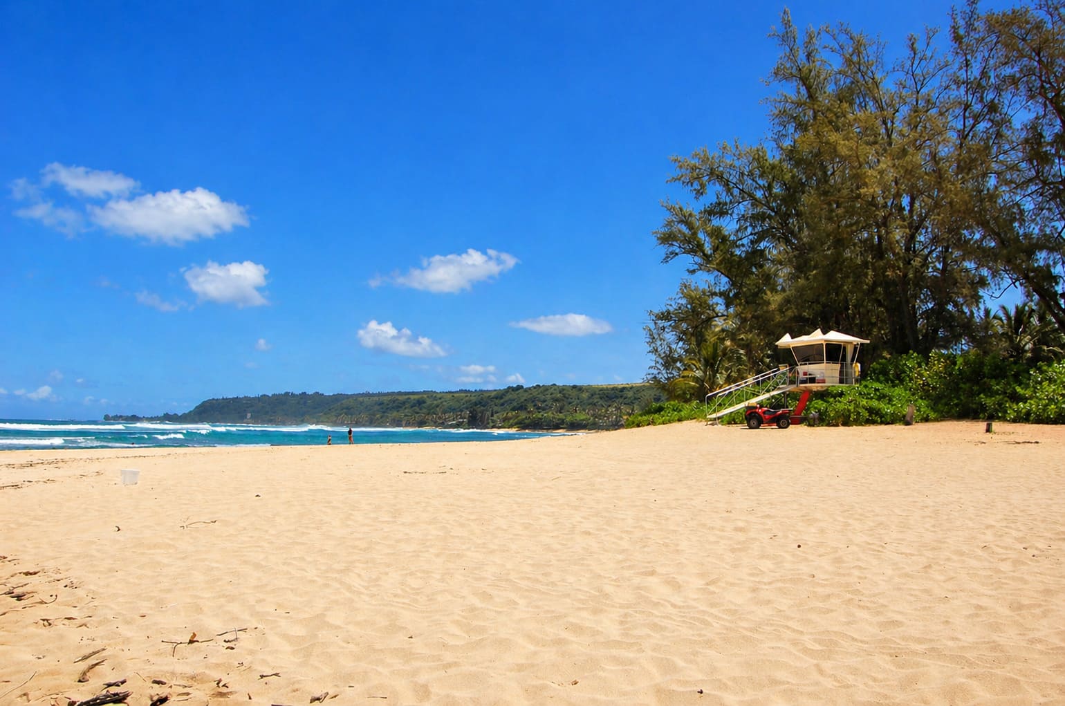Kawailoa Beach