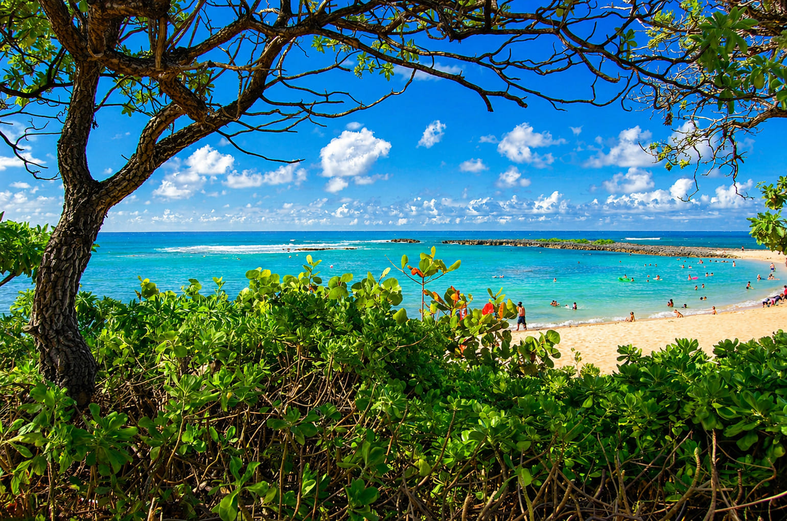 Kuilima Cove