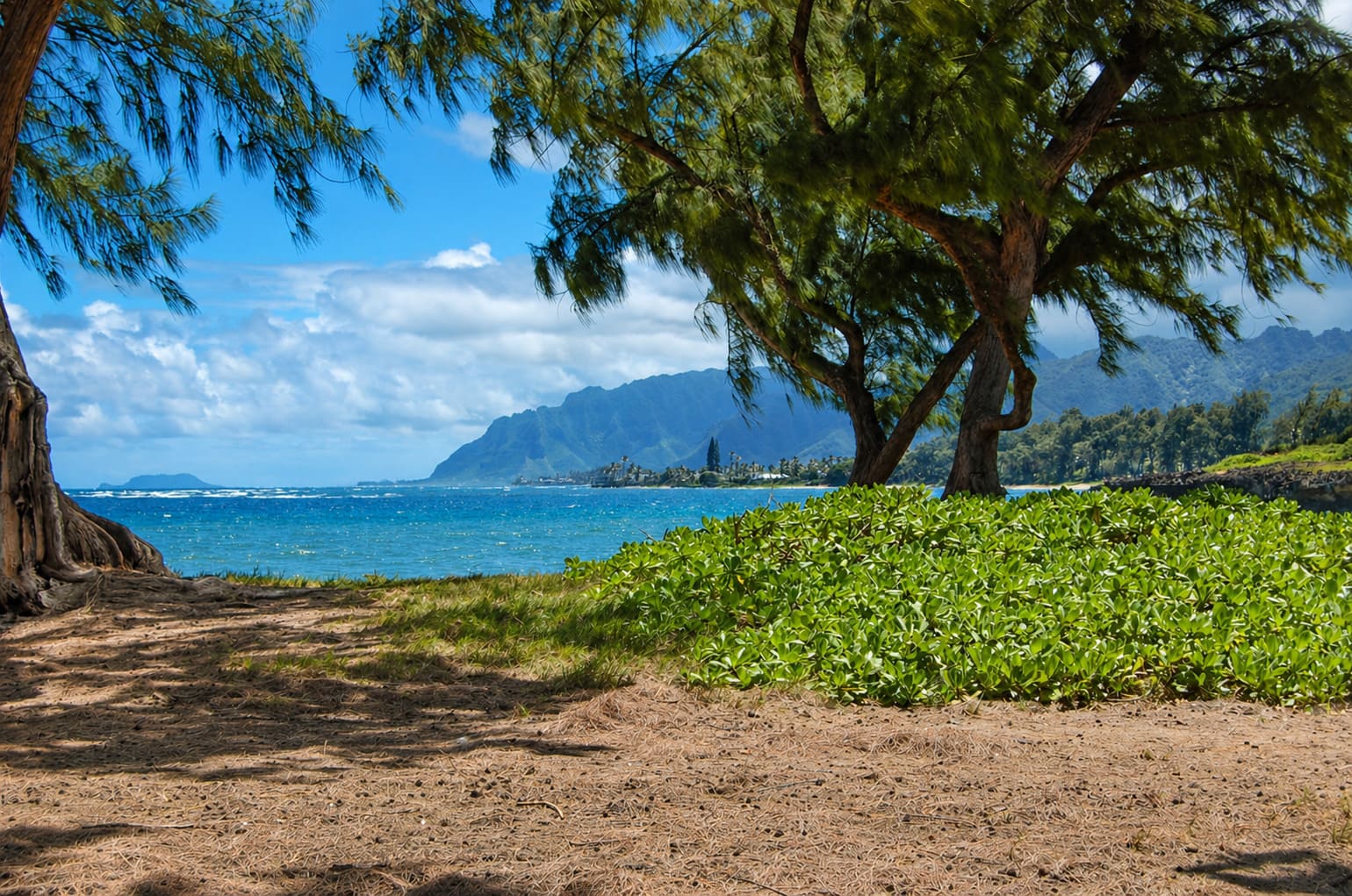La'ie Beach Park (Pounders Beach)