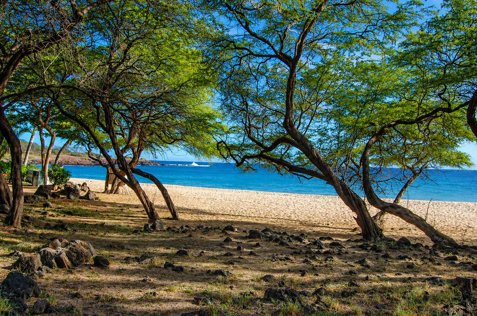 Lanai Camping