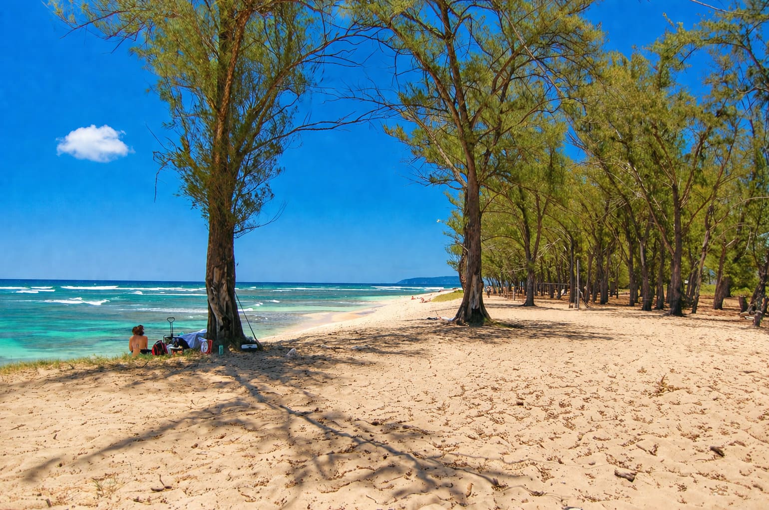 Makaleha Beach Park
