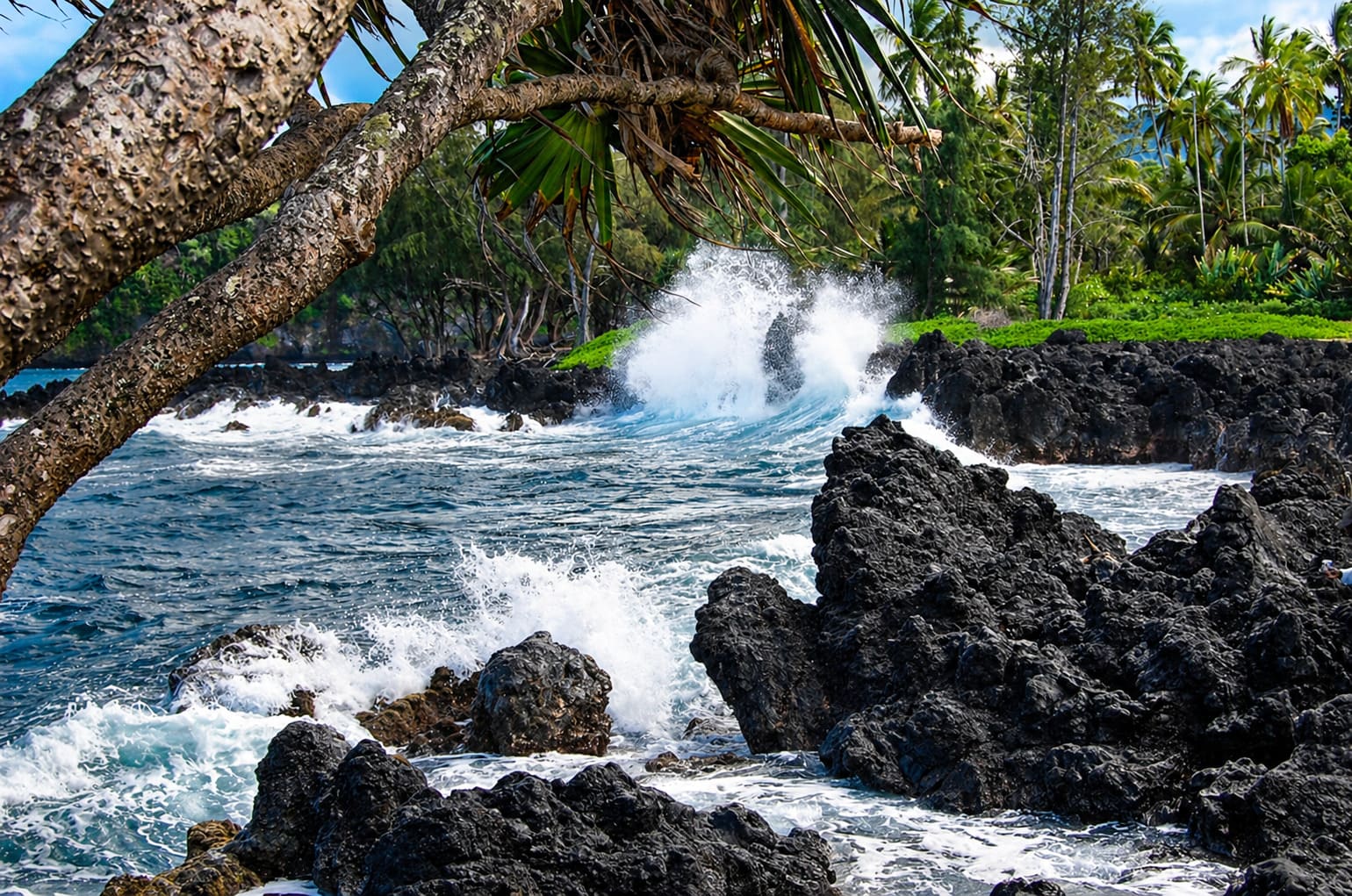 Maui Attractions