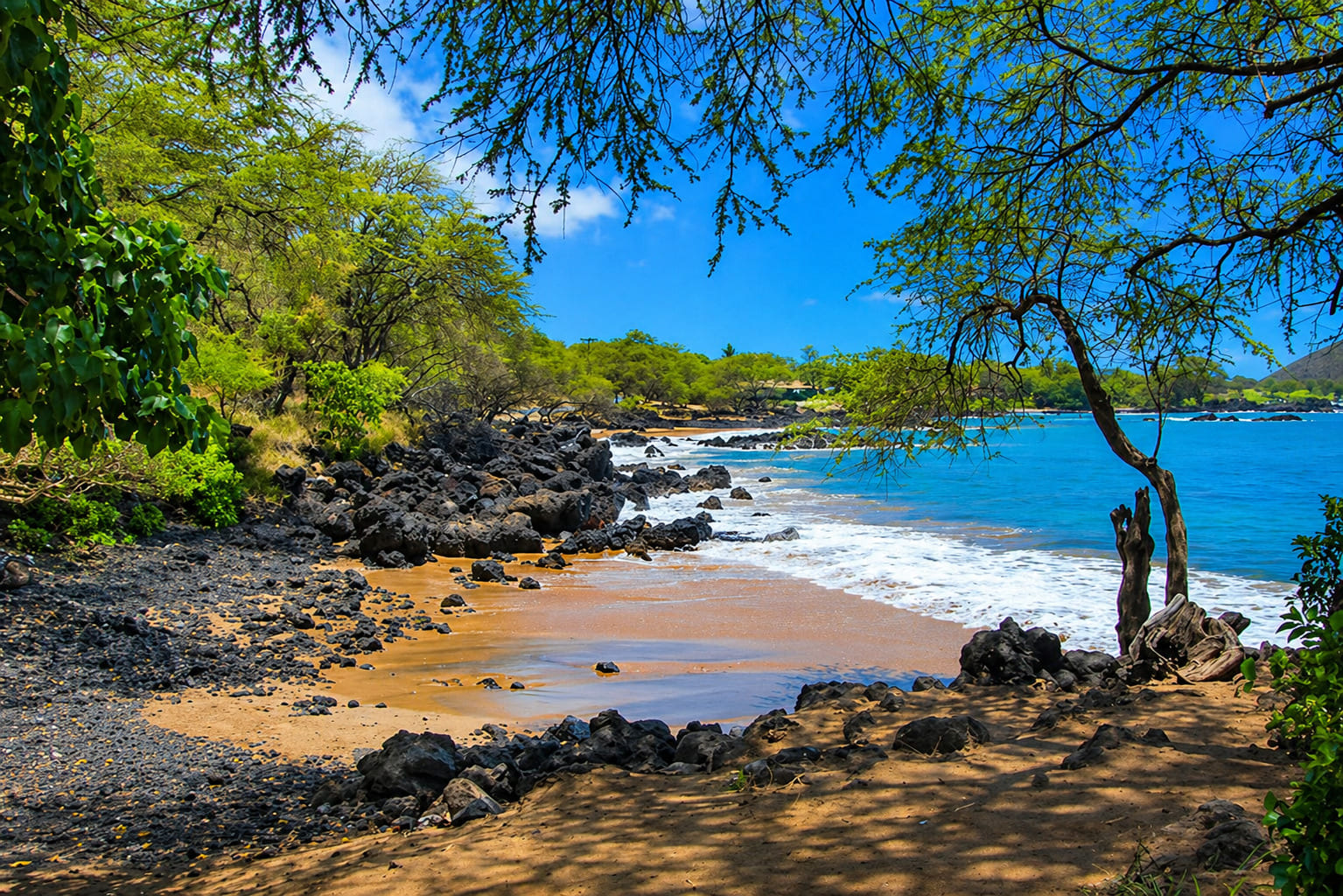 Maui Beaches