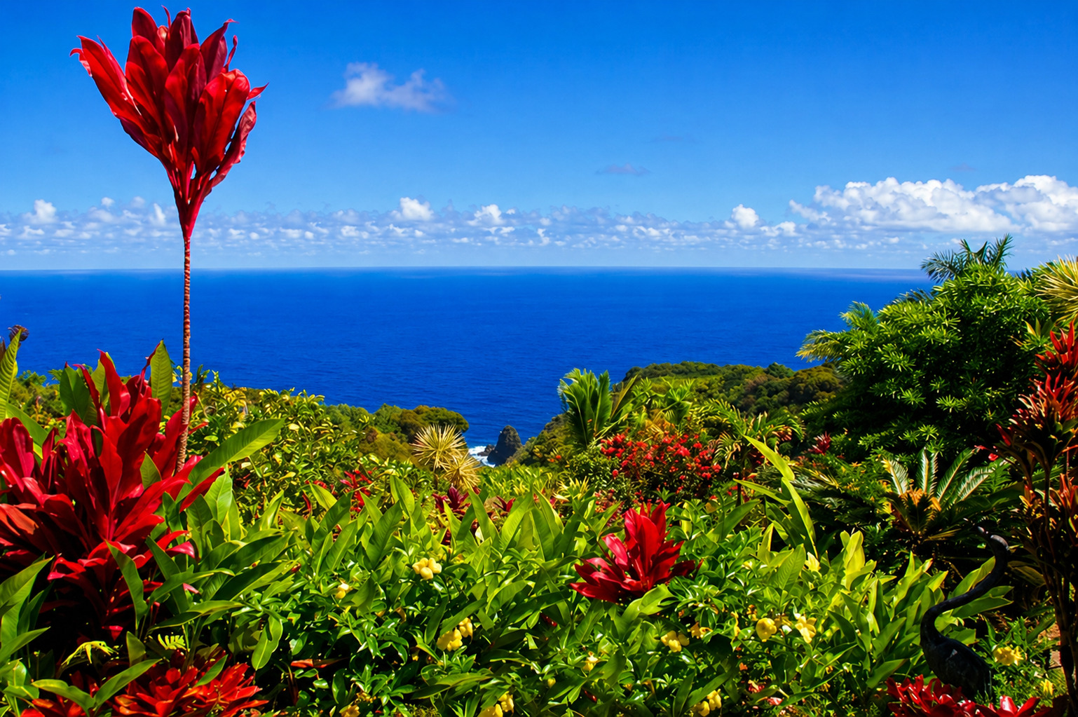 Maui Botanical Gardens