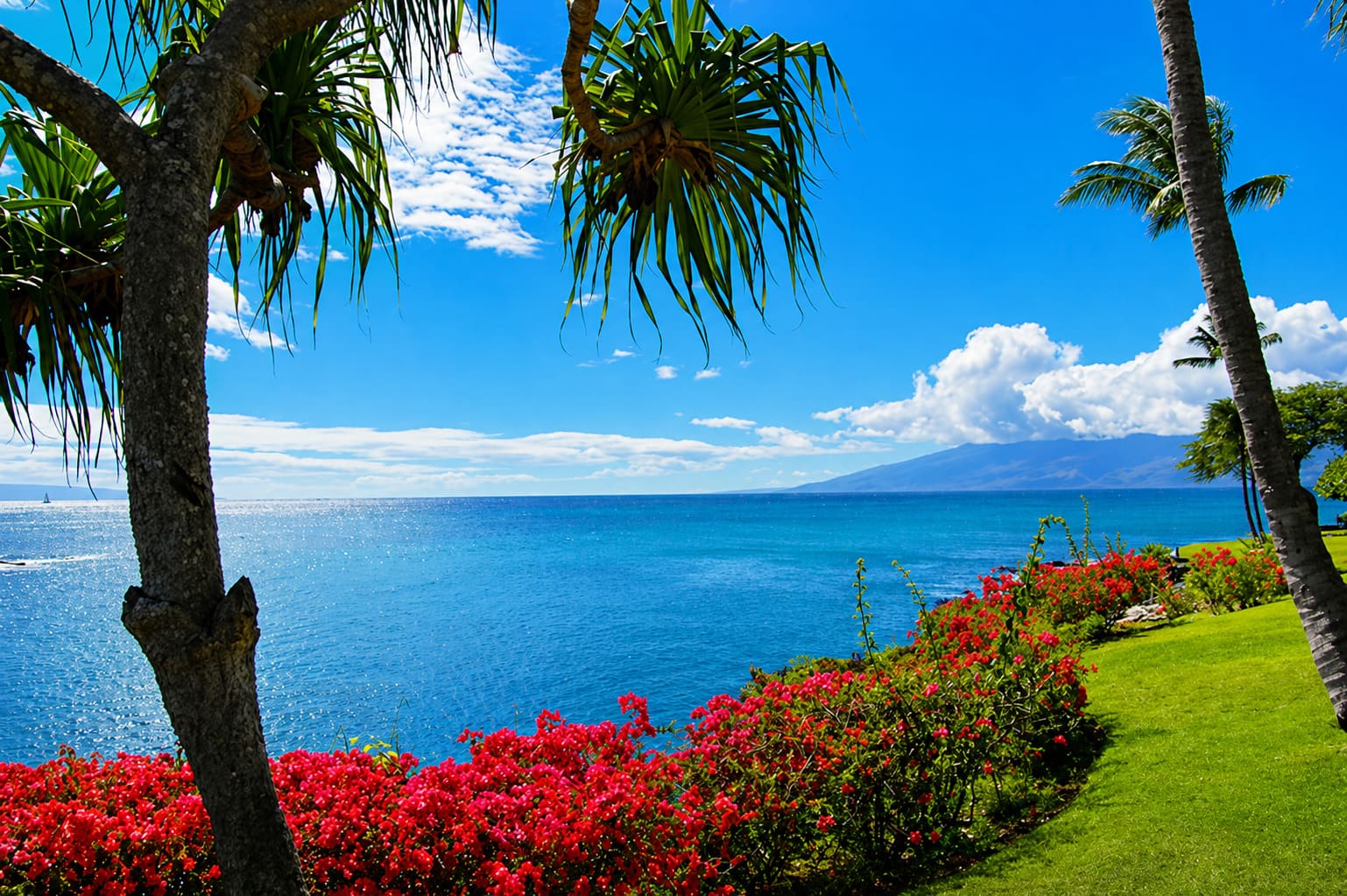 Maui Towns