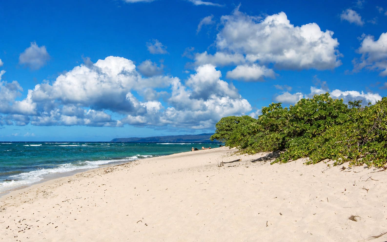Mokule'ia Beach Park
