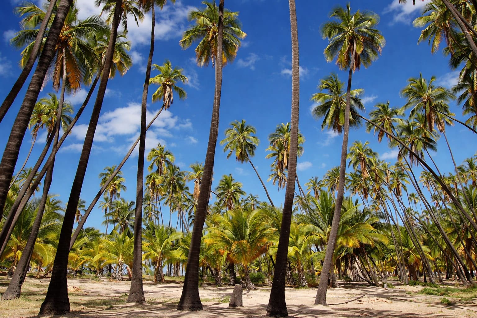 Molokai island guide image