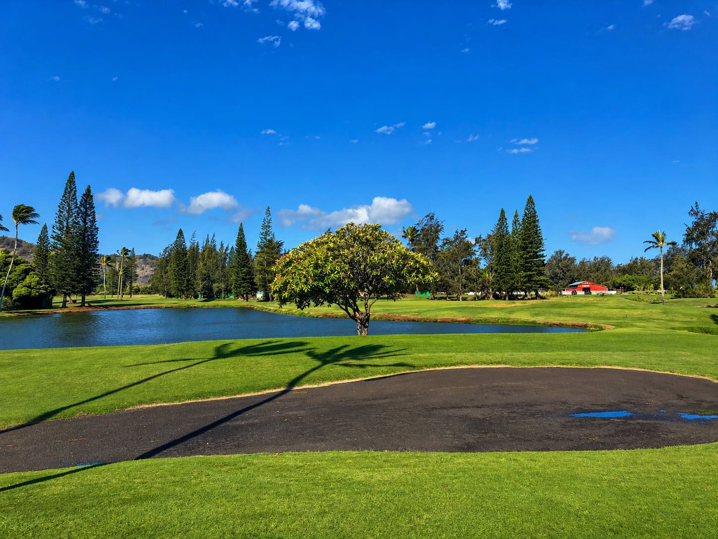 Oahu Golf Courses