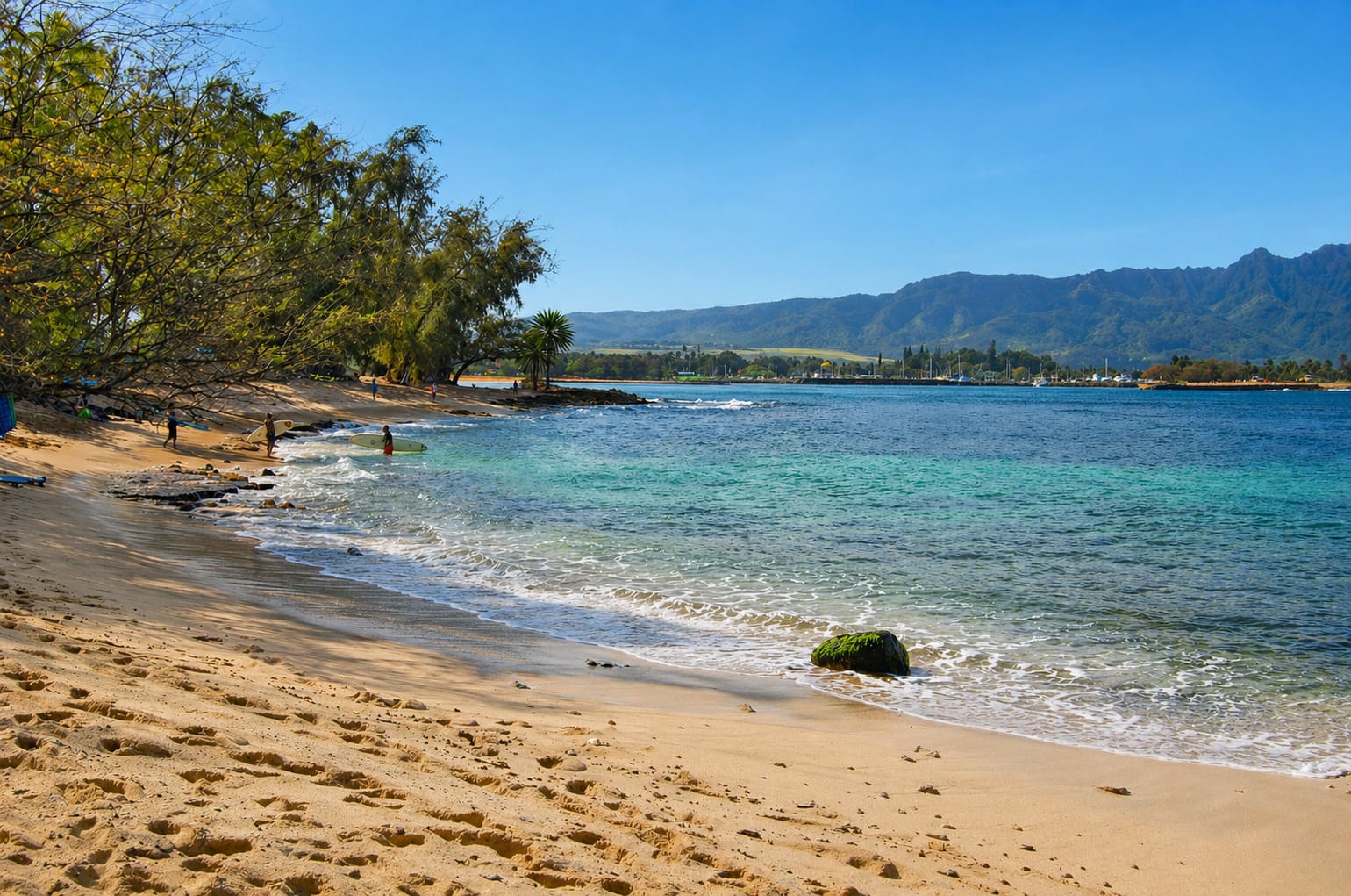 Pua'ena Point Beach Park