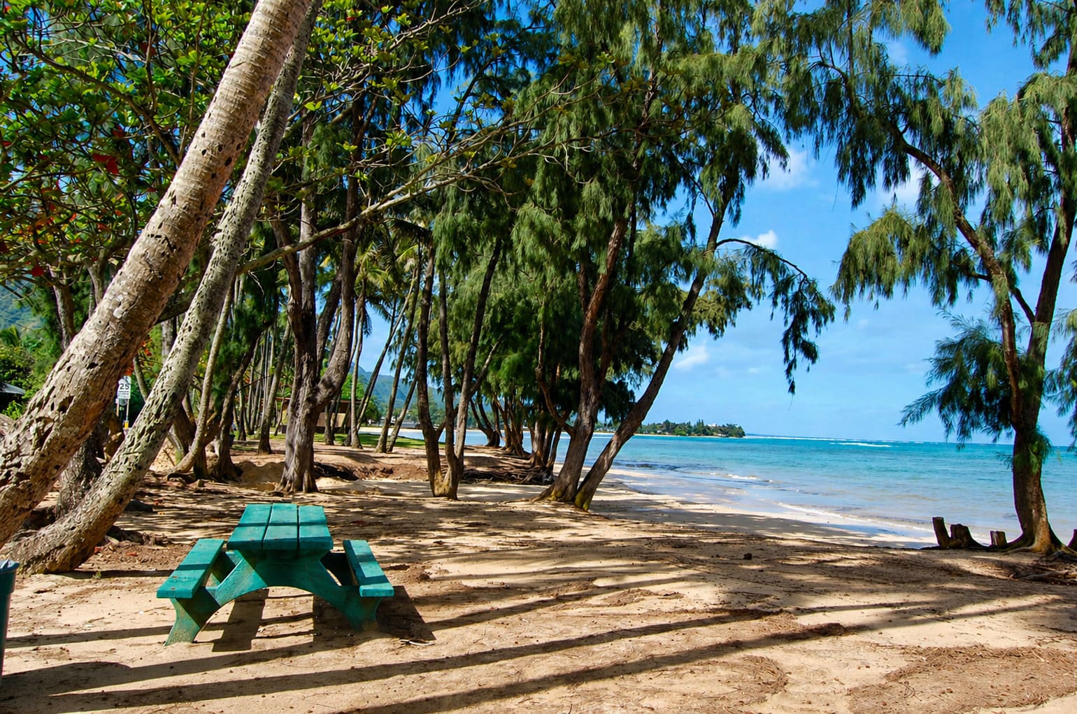 Punalu'u Beach Park