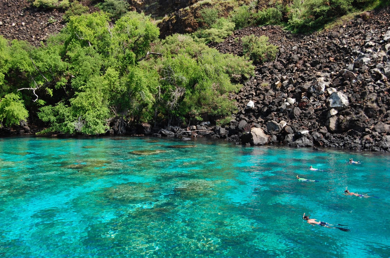 Snorkeling in Hawaii: How to Pick the Right Island Experience