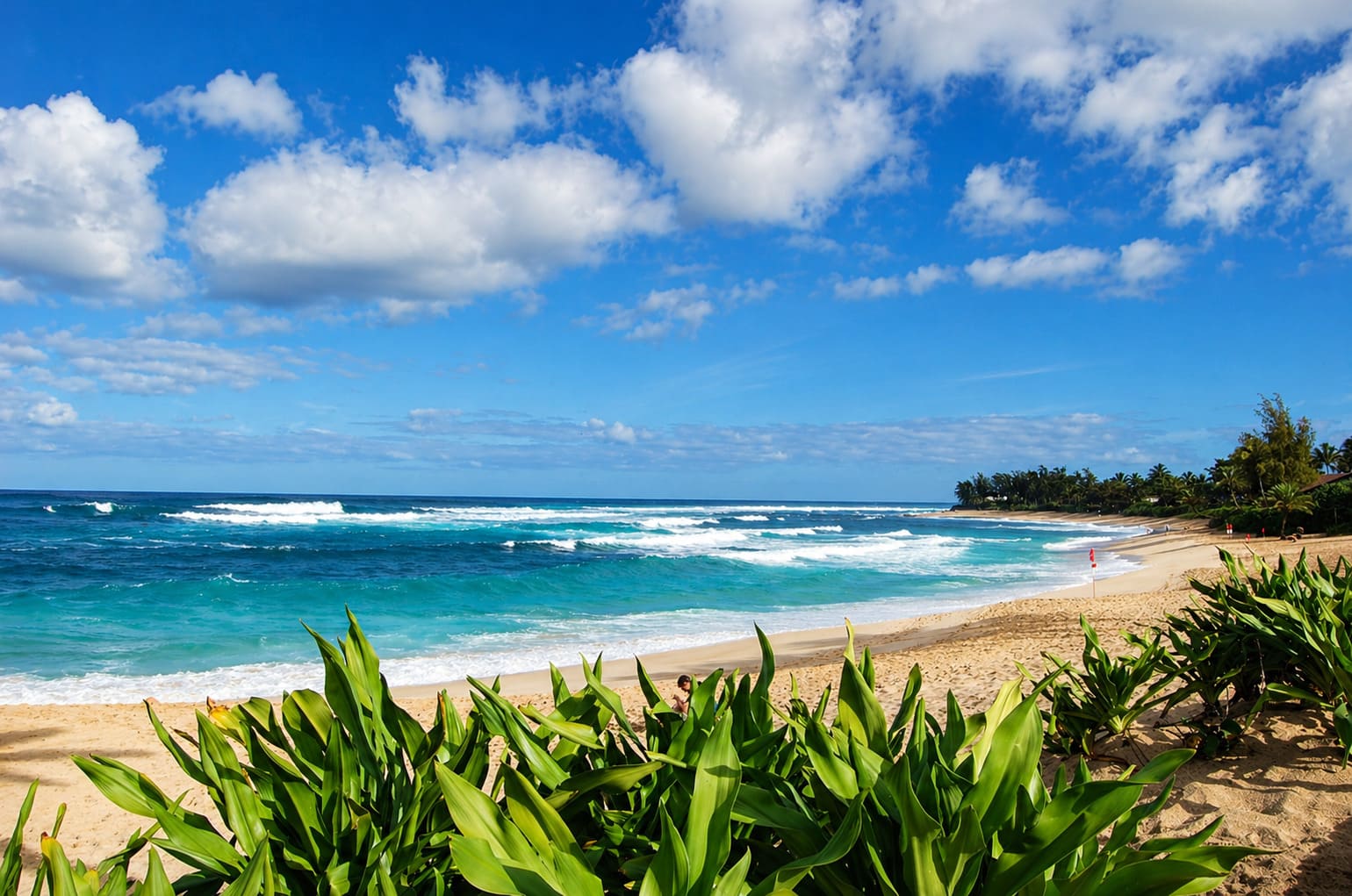 Sunset Beach Park