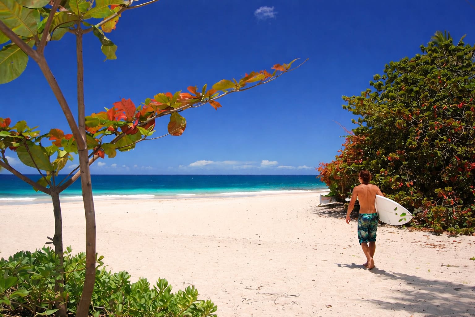 Top Hawaii Activity Ideas for Visitors Who Want More Than Beach Time