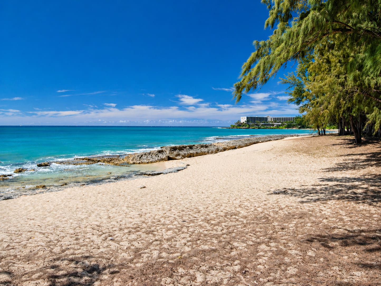 Turtle Bay