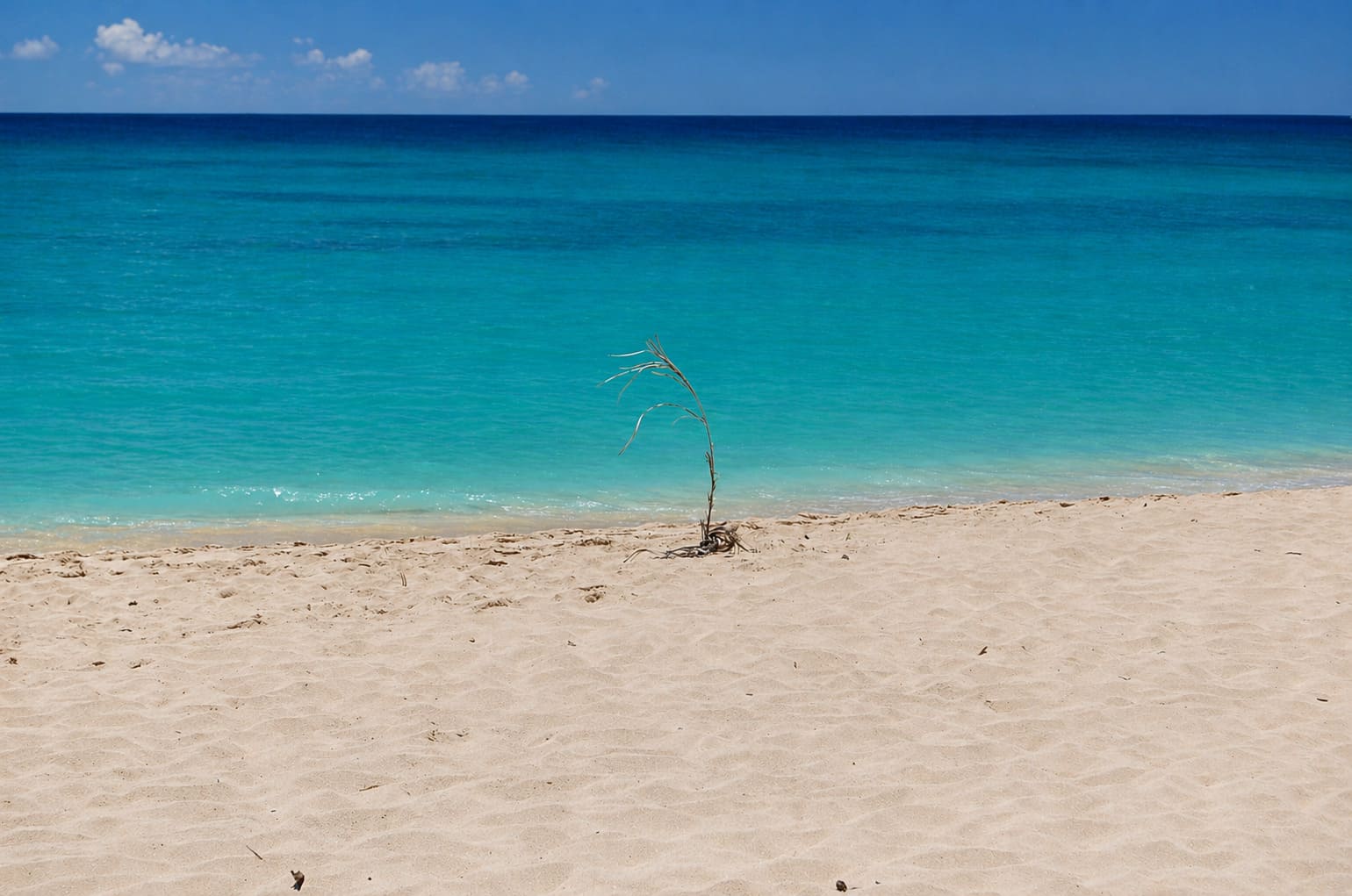 Turtle Beach (Papaoneone Beach)