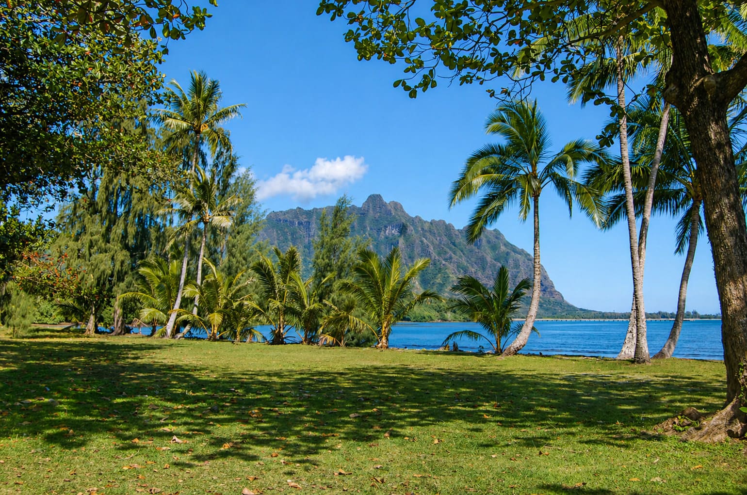 Waiahole Beach Park
