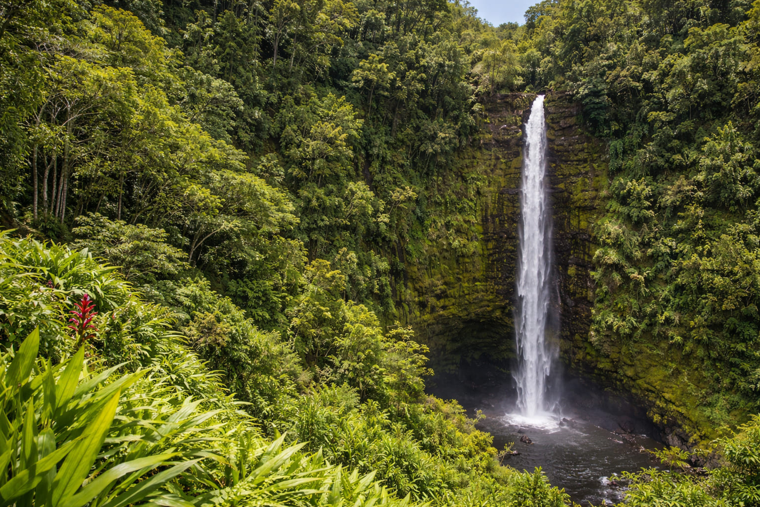 Why Hawaii Is a Great Vacation Choice for Return Visitors Too
