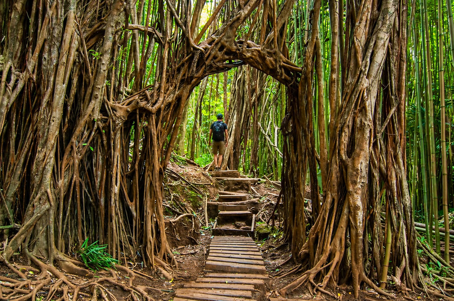 Hawaii Hiking