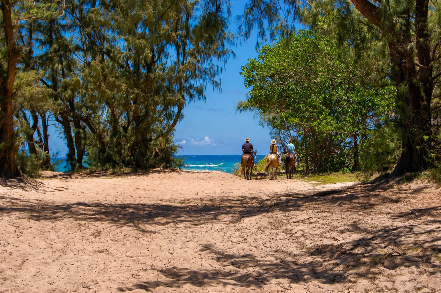 Hawaii Horseback Riding Tours