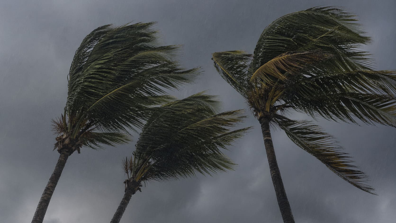 Hawaii Natural Disasters
