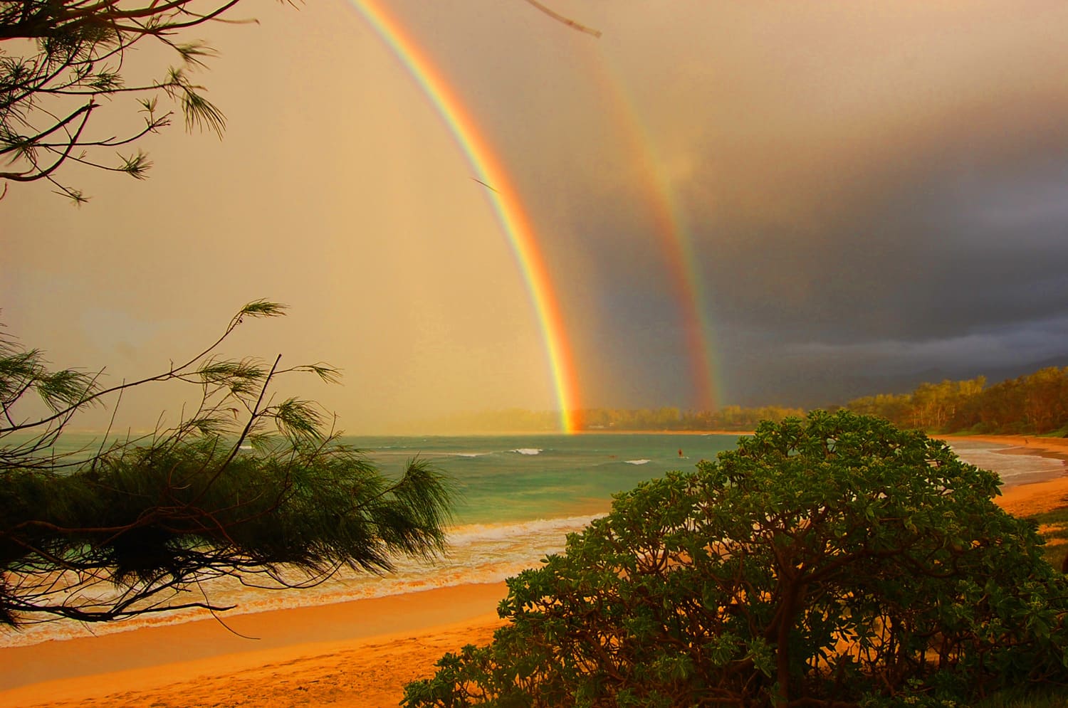 Hawaiian Rainbows