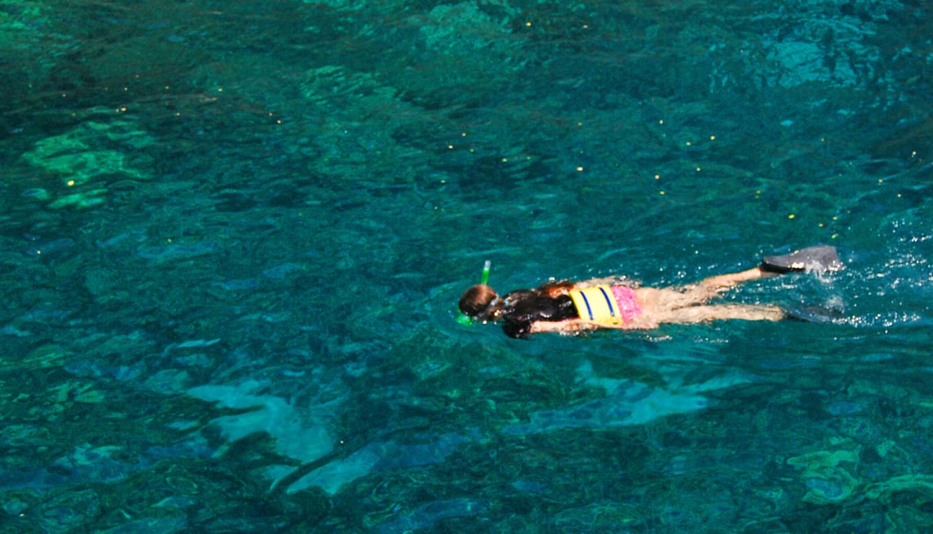 How to Choose the Best Hawaii Snorkeling Tour