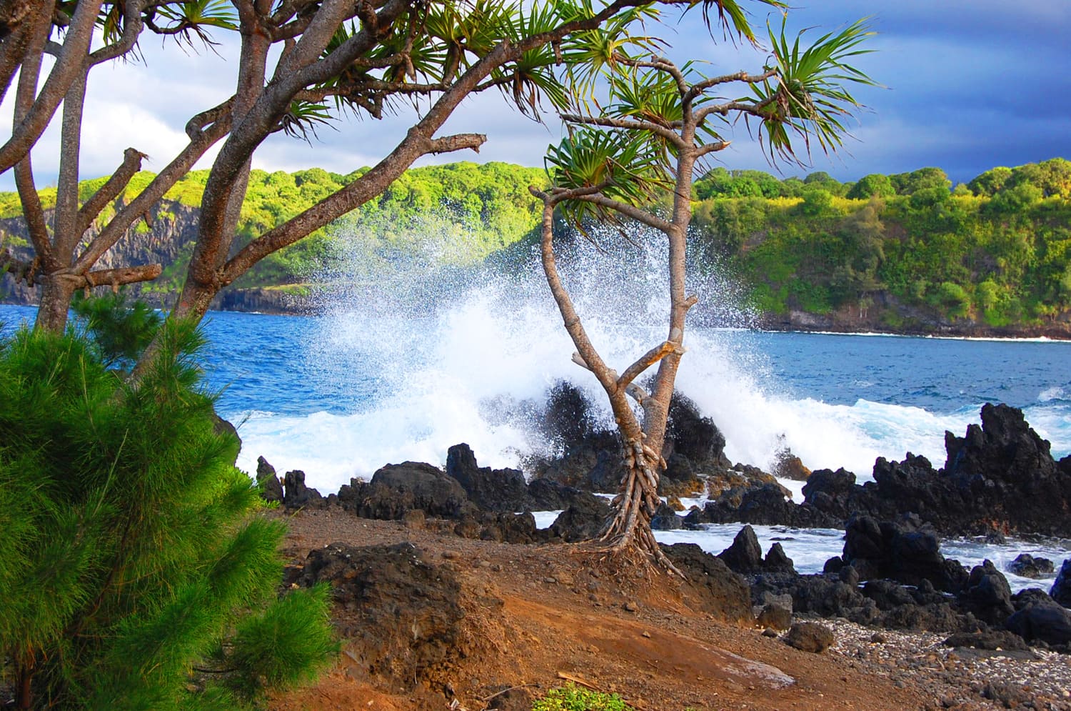 Hawaii Nature Tours
