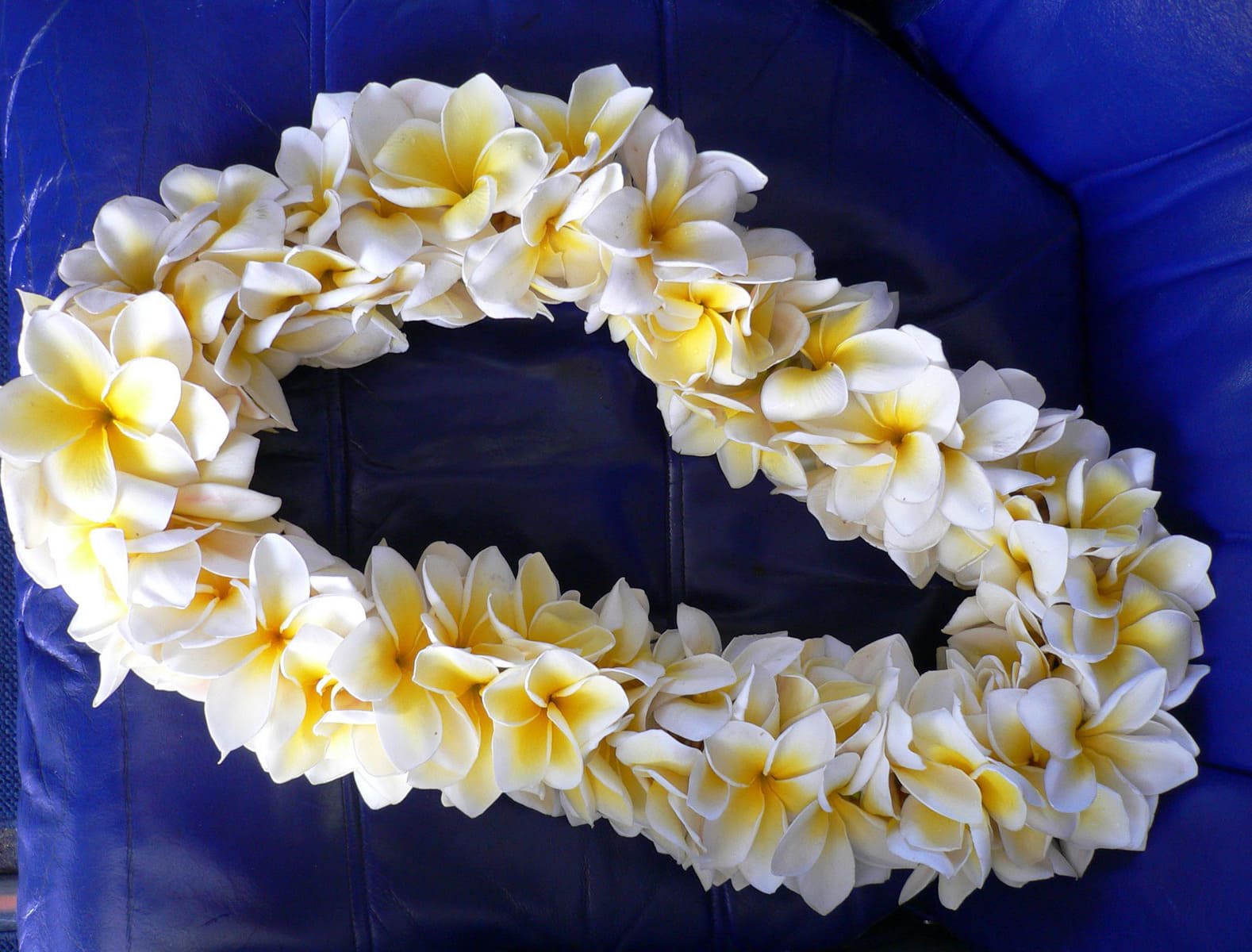 Hawaiian Flower Lei