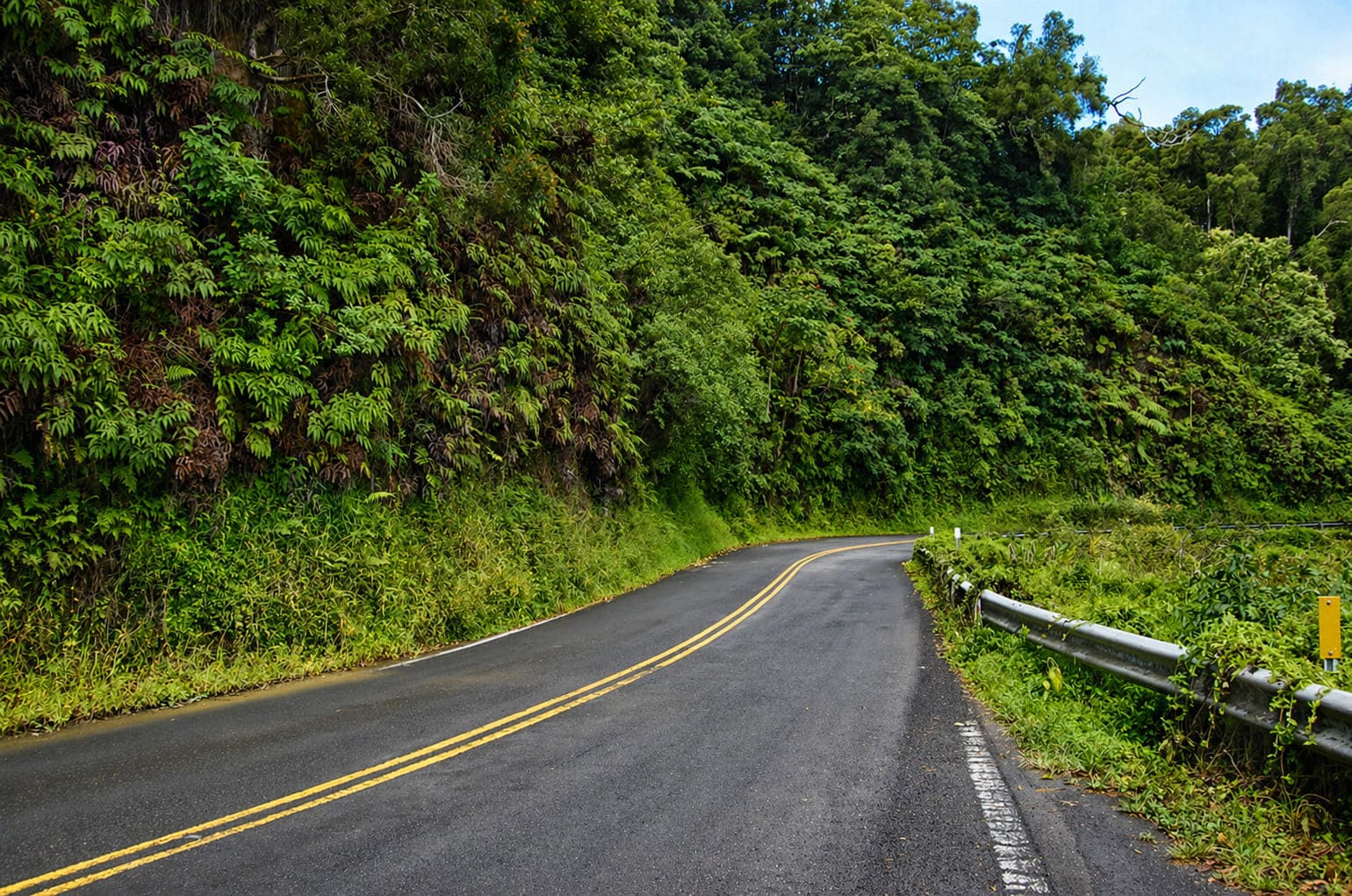 Best Car Rentals for the Road to Hana