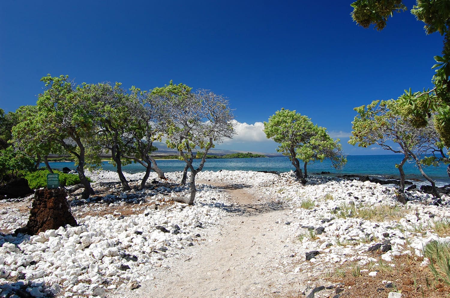 Ala Kahakai National Historic Trail