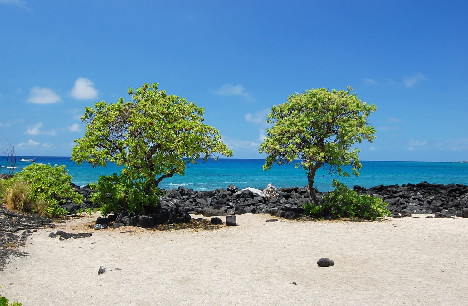 Alula Beach