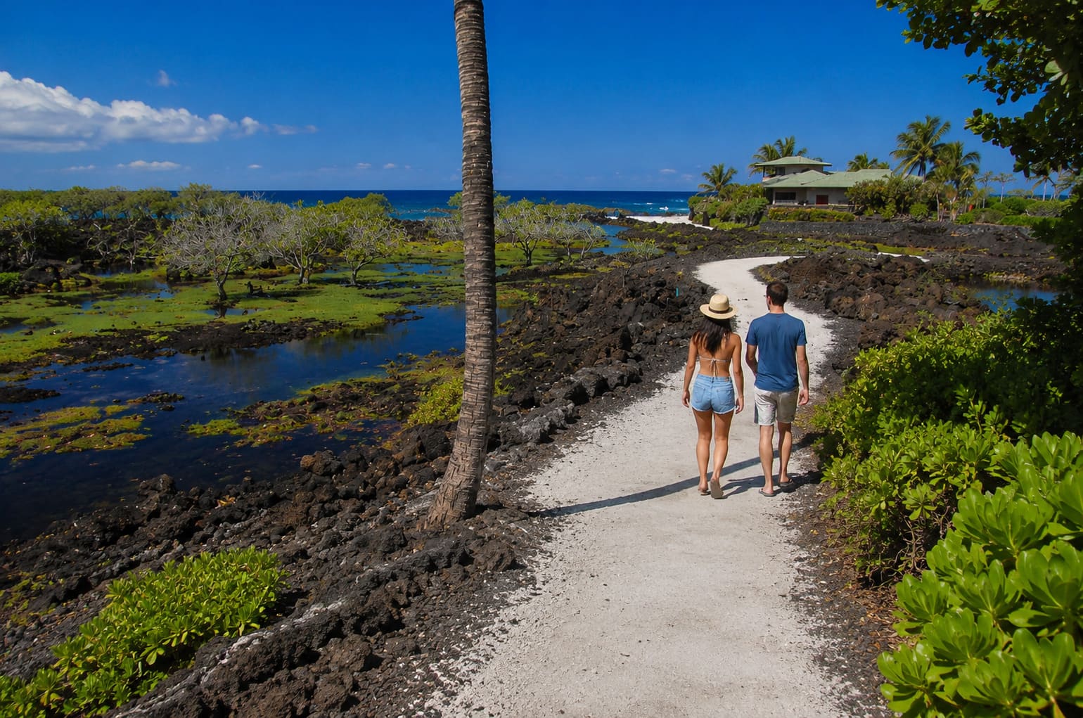 Best Big Island Tours for Visitors Staying in Kona or Waikoloa