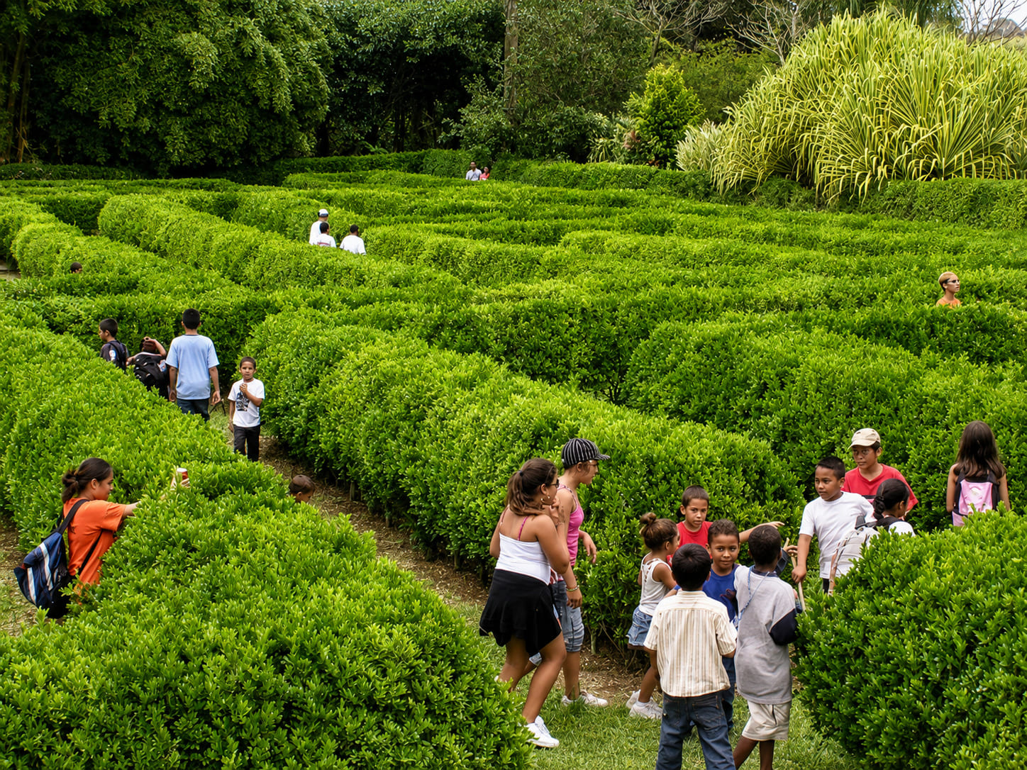 Botanical World Adventures