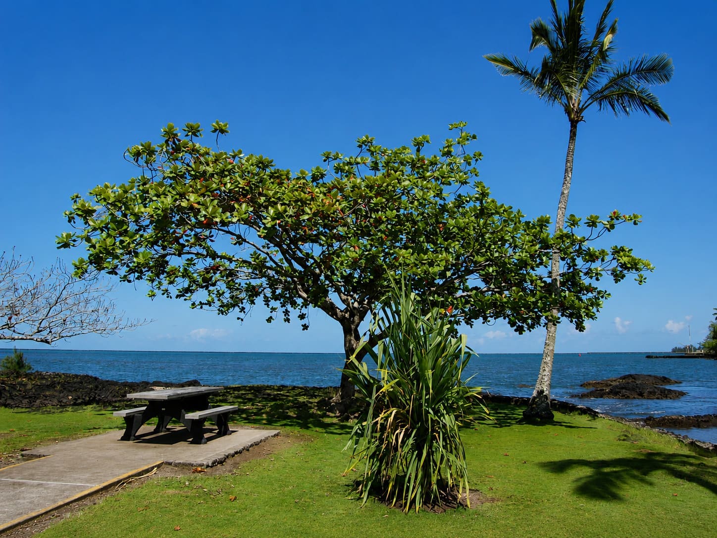 Coconut Island (Mokuola)