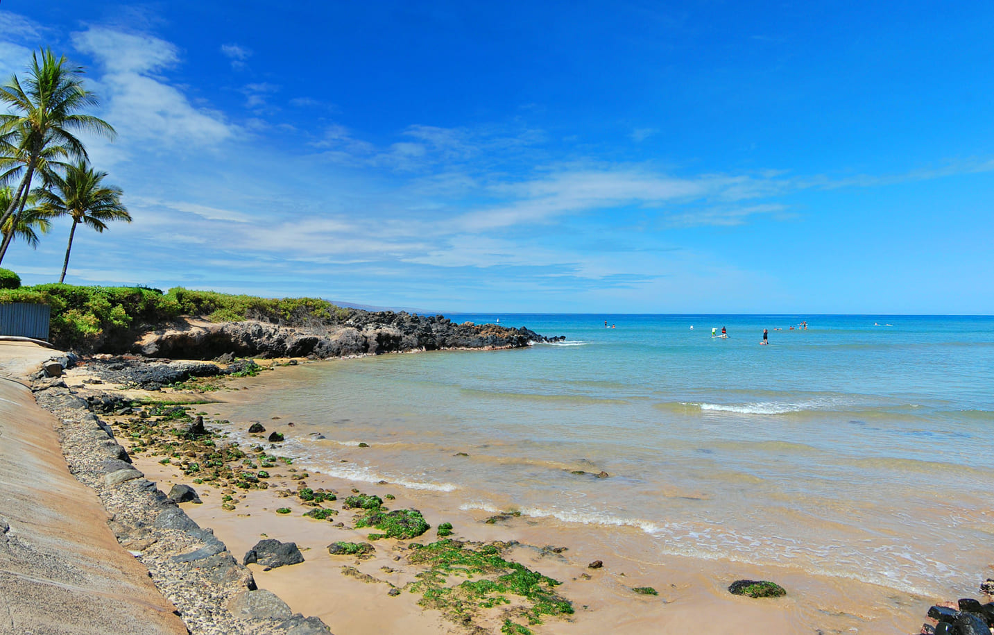Cove Park