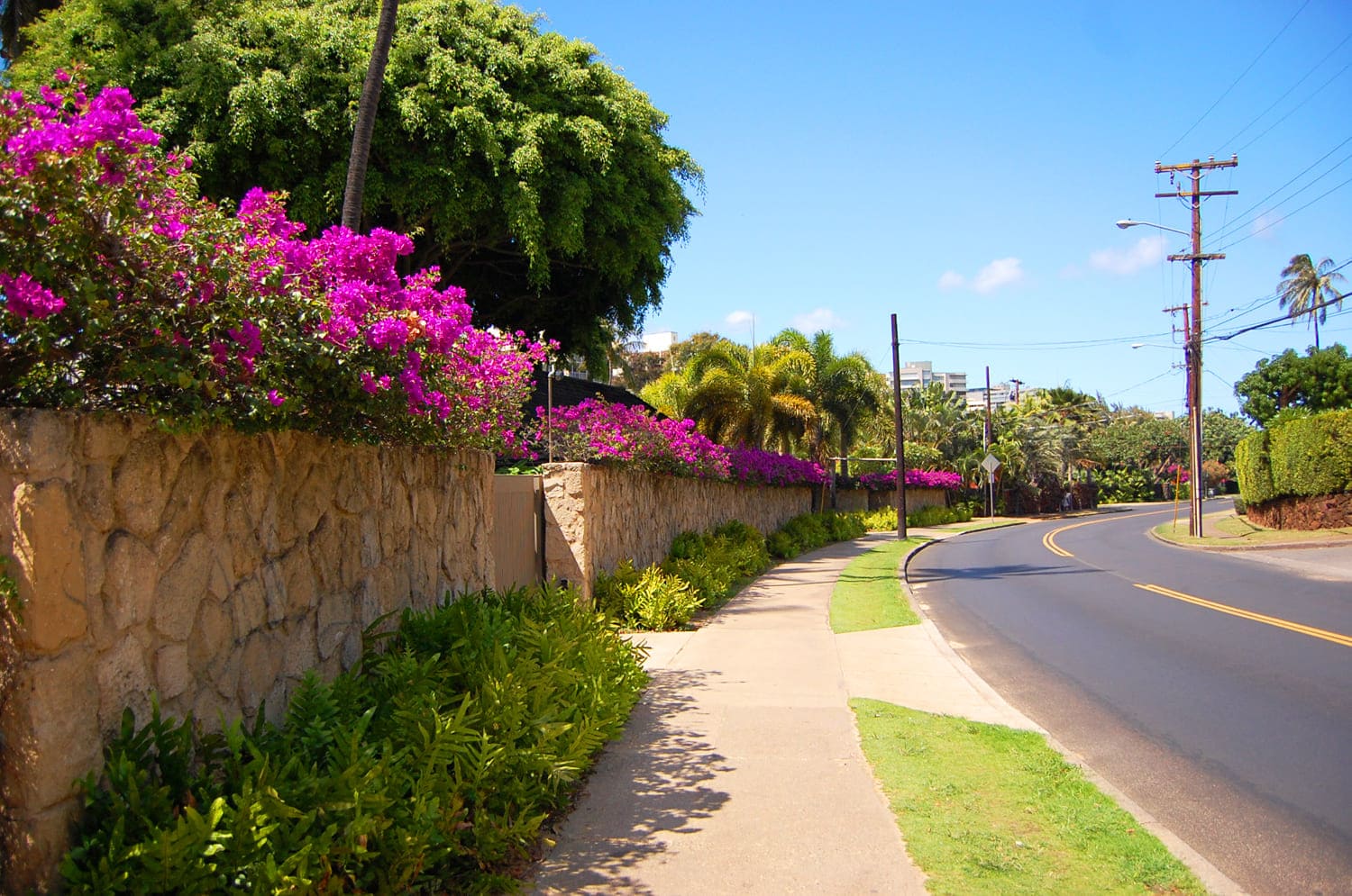 Diamond Head Road
