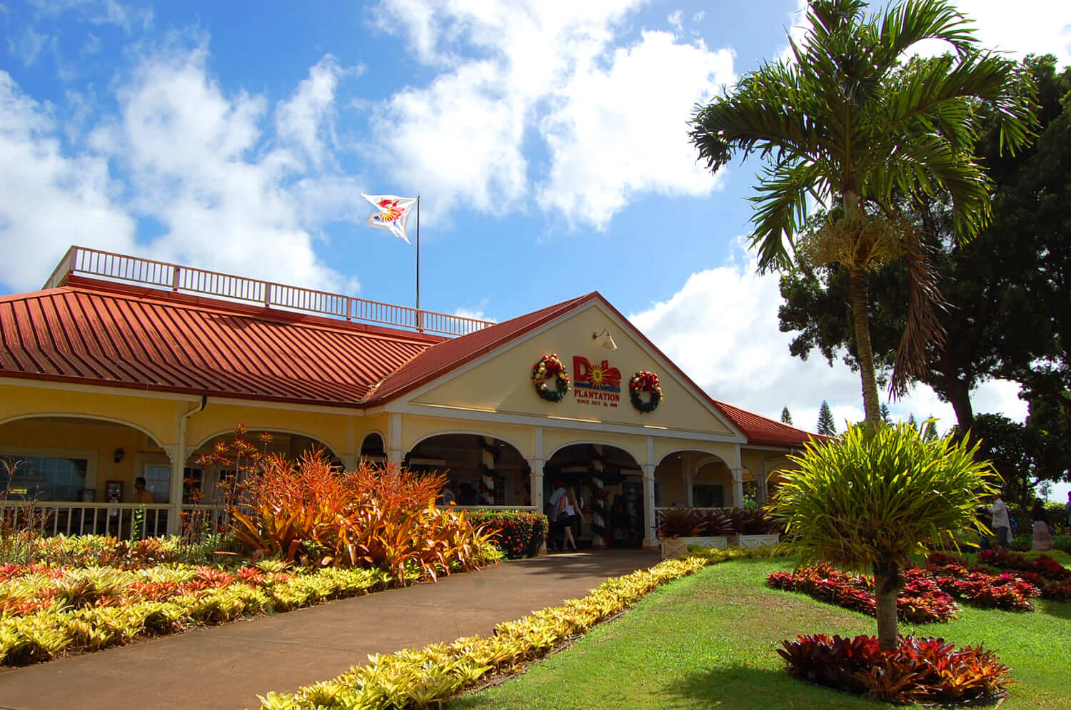 Dole Pineapple Plantation
