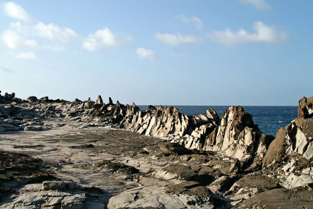 Dragon's Teeth