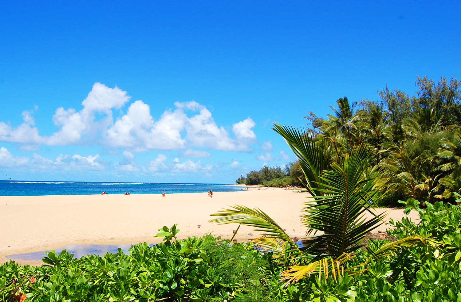 Ha'ena Beach Park