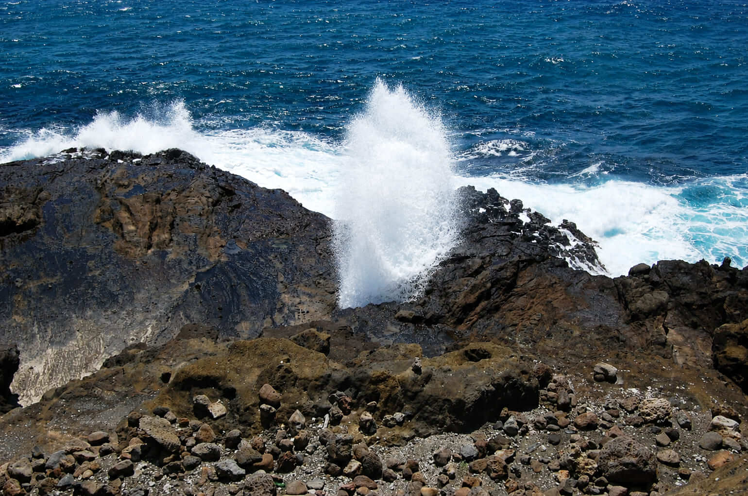 Halona Blowhole