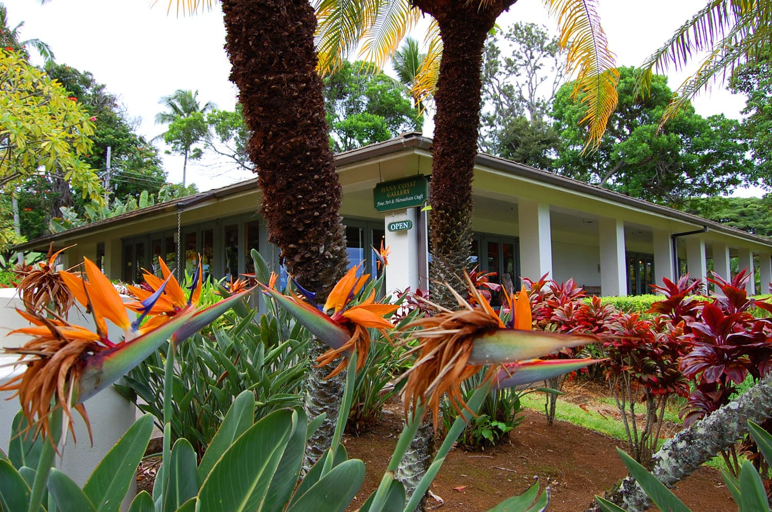 Hana Coast Gallery