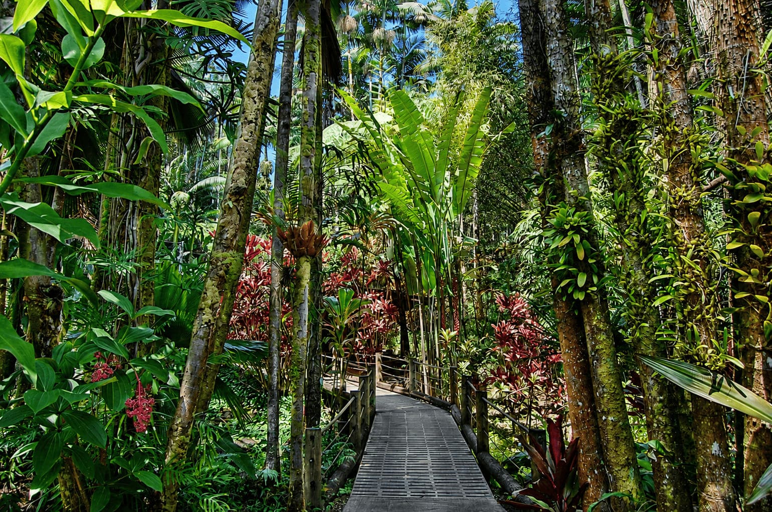 Hawaii Tropical Botanical Garden