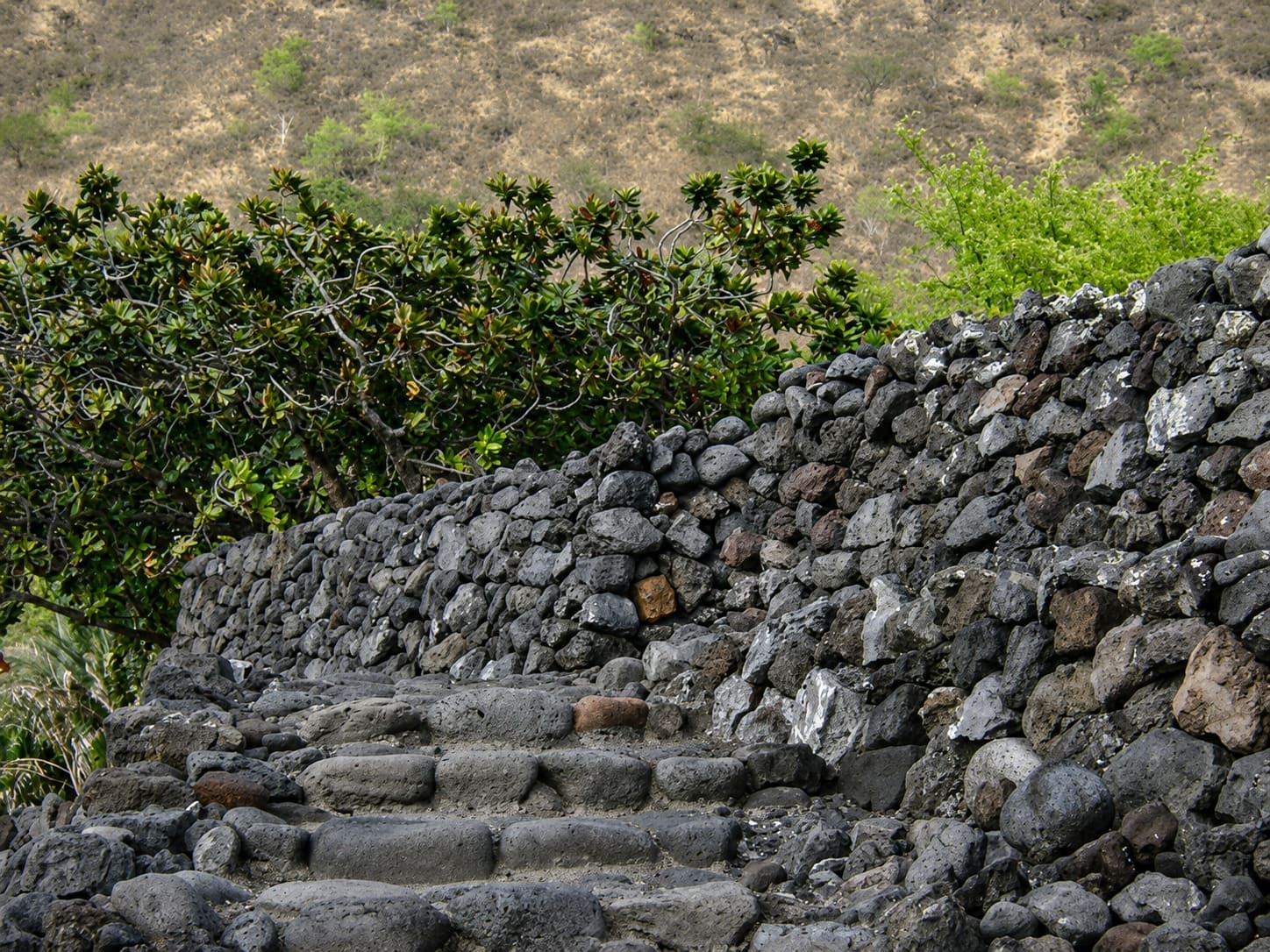 Hikiau Heiau