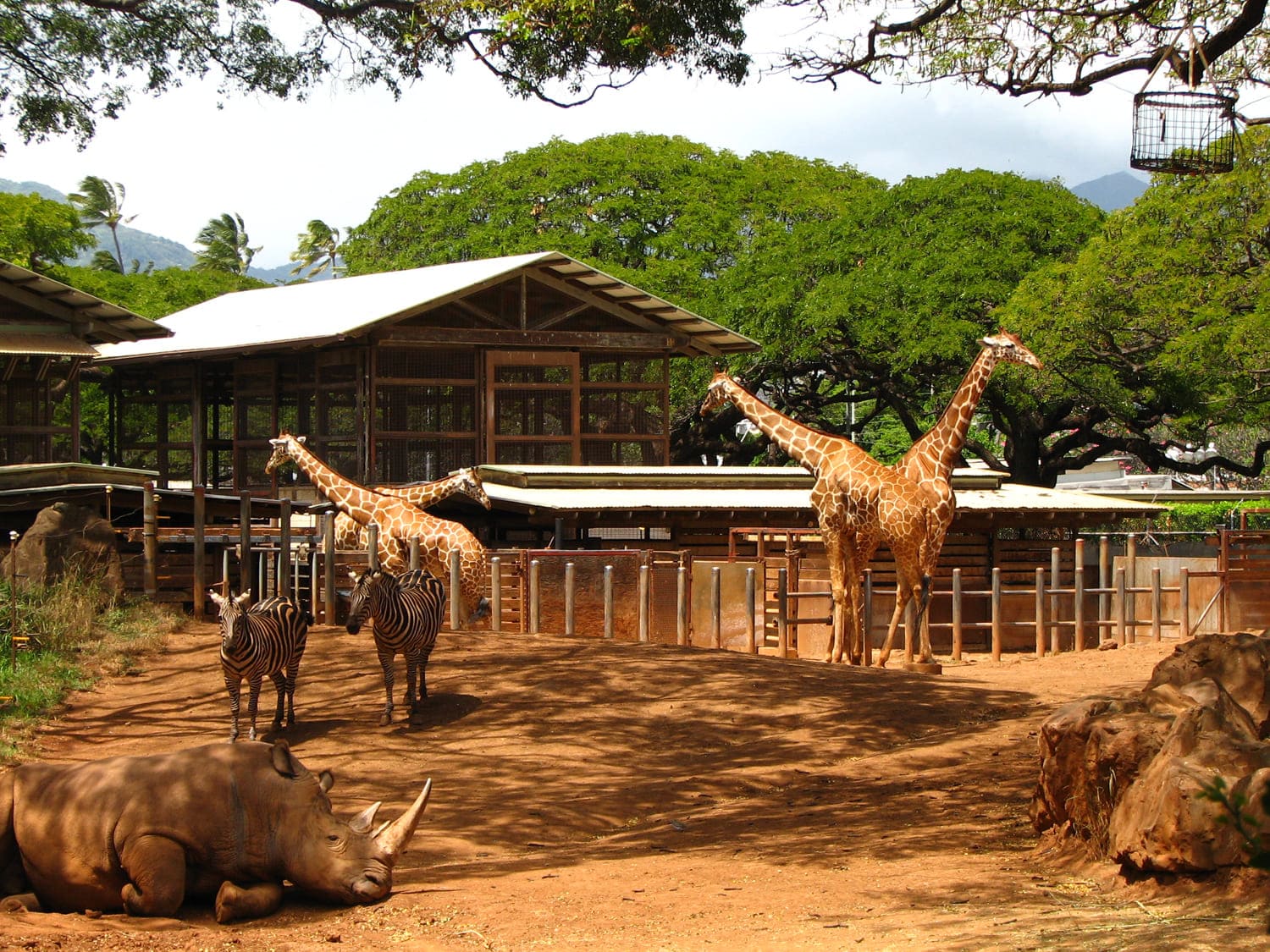 Honolulu Zoo
